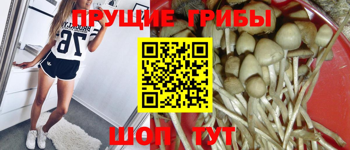 Галлюциногенные грибы мицелий  Псилоцибиновые грибы Magic Shrooms  Вход с VPN  Стрежевой 
