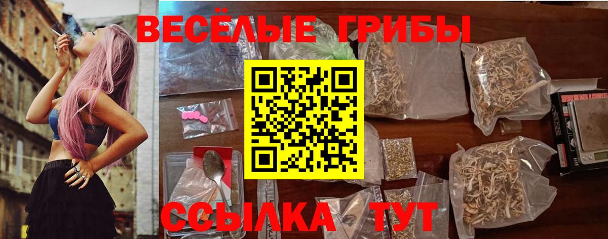 Псилоцибиновые грибы Psilocybe Стрежевой